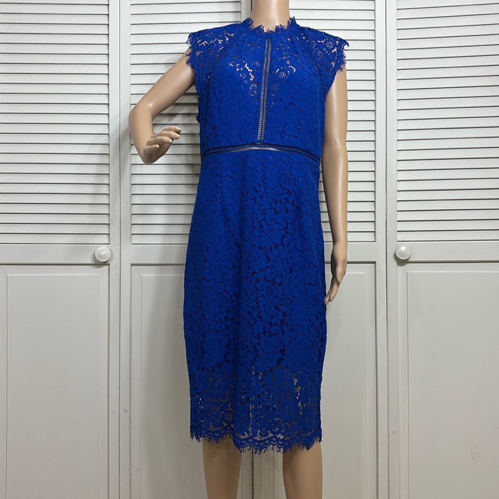 Bardot Lace Panel in Blue Sheath Dress Size 8